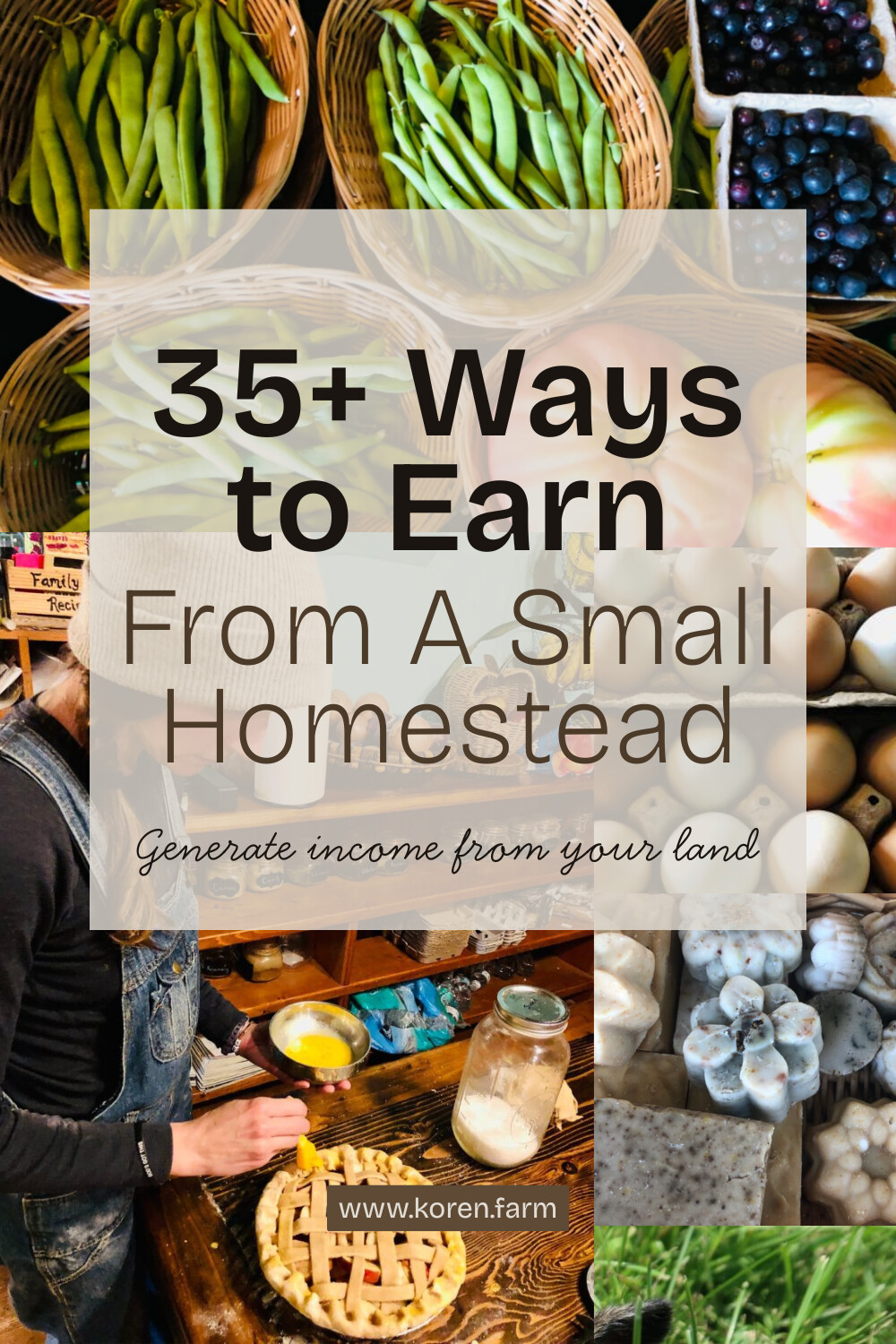 35 Ways to Make Money On A Small Homestead